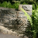 Fern Shadow May 2008.JPG (2 MB)